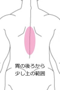 胃の透し2